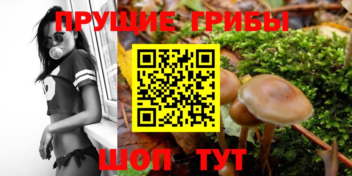 Кумертау  Псилоцибиновые грибы Psilocybe  Псилоцибиновые грибы Psilocybe  что такое наркотик  Вход с VPN 